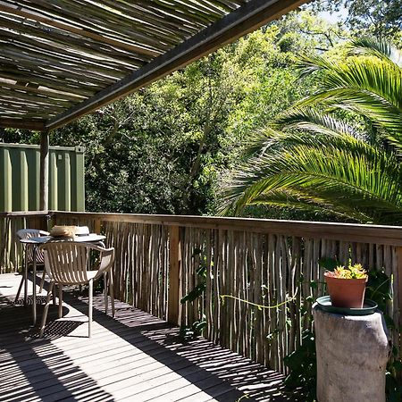 Camps Bay Forest Pods Kapské Město Exteriér fotografie