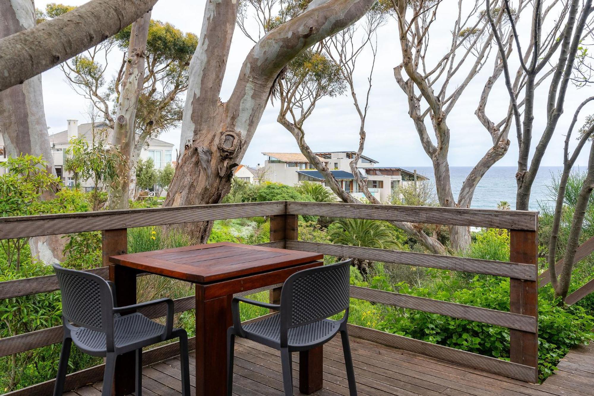 Camps Bay Forest Pods Kapské Město Exteriér fotografie