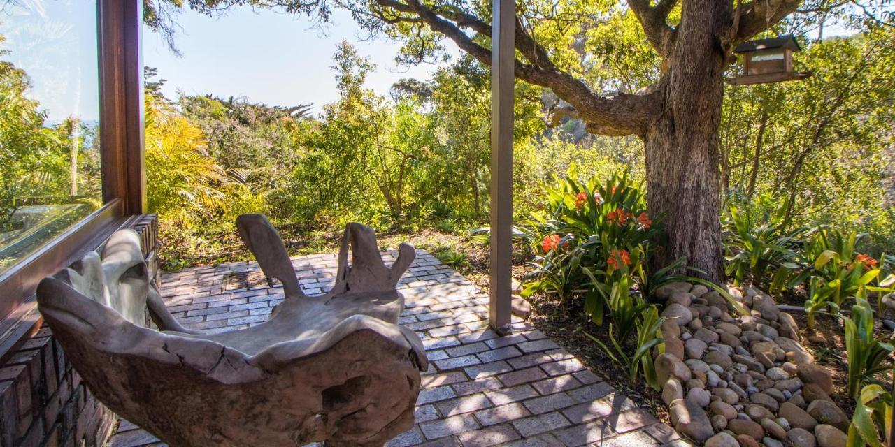 Camps Bay Forest Pods Kapské Město Exteriér fotografie